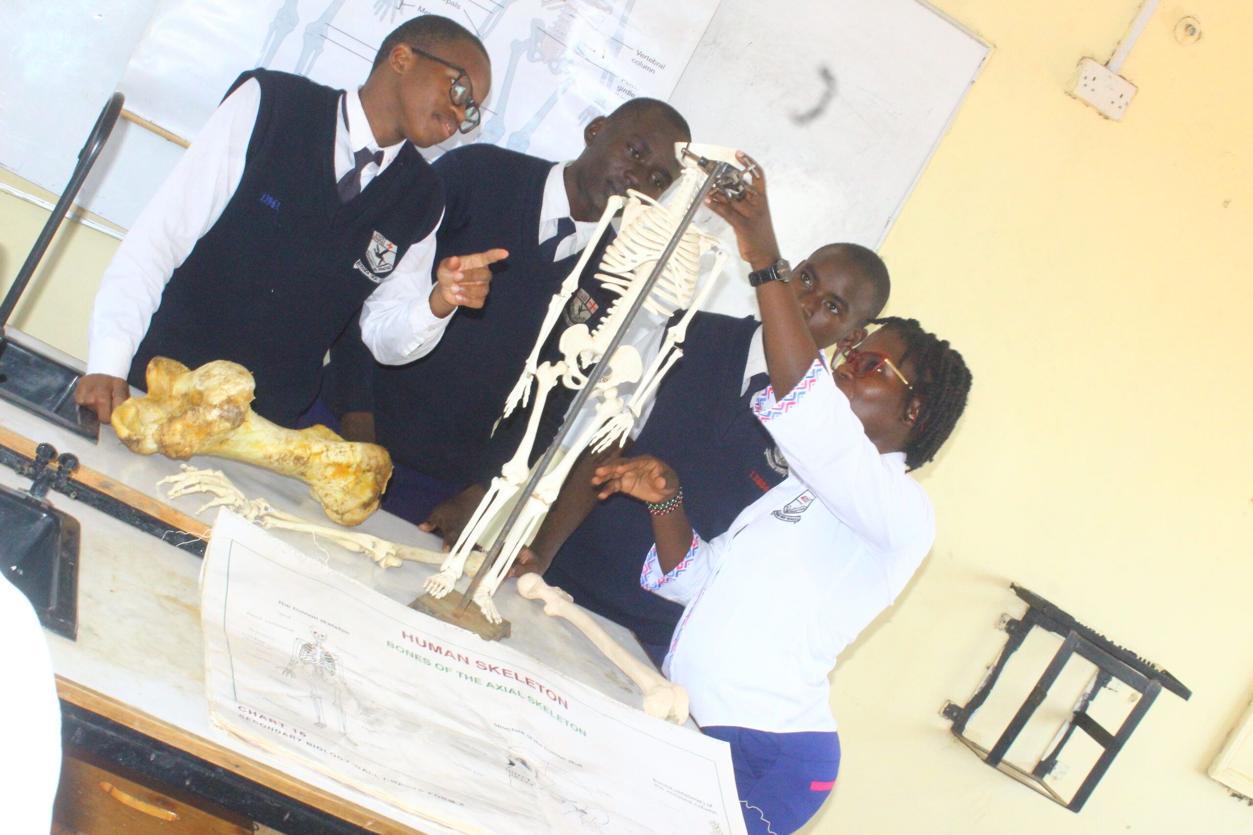 Exploring the Intricacies of Human Anatomy with Madam Marylinnet Ombima