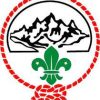 SCOUT'S LOGO
